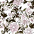 Patsy Organic Cotton Ditsy Shirt Pink
