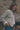 Seren Stretch Twill Jacket | Lily and Me Clothing