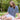 Blockley Striped Jersey Top | Lily and Me Clothing