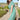 Orla Ditsy Print Dress | Lily and Me Clothing