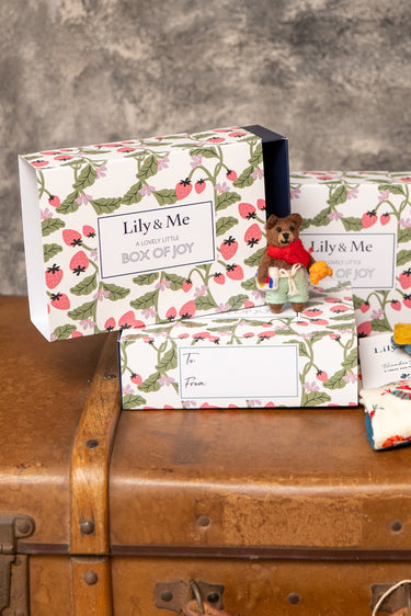 Beau The Bear Bamboo Socks And Decoration Giftbox