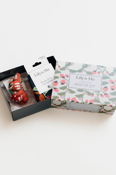 Charlotte The Cat Bamboo Socks And Decoration Giftbox