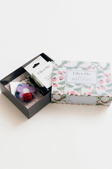 Lucy The Ladybird Bamboo Socks And Decoration Giftbox