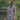 Summer Breeze Linen Blend Midi Dress | Lily and Me Clothing